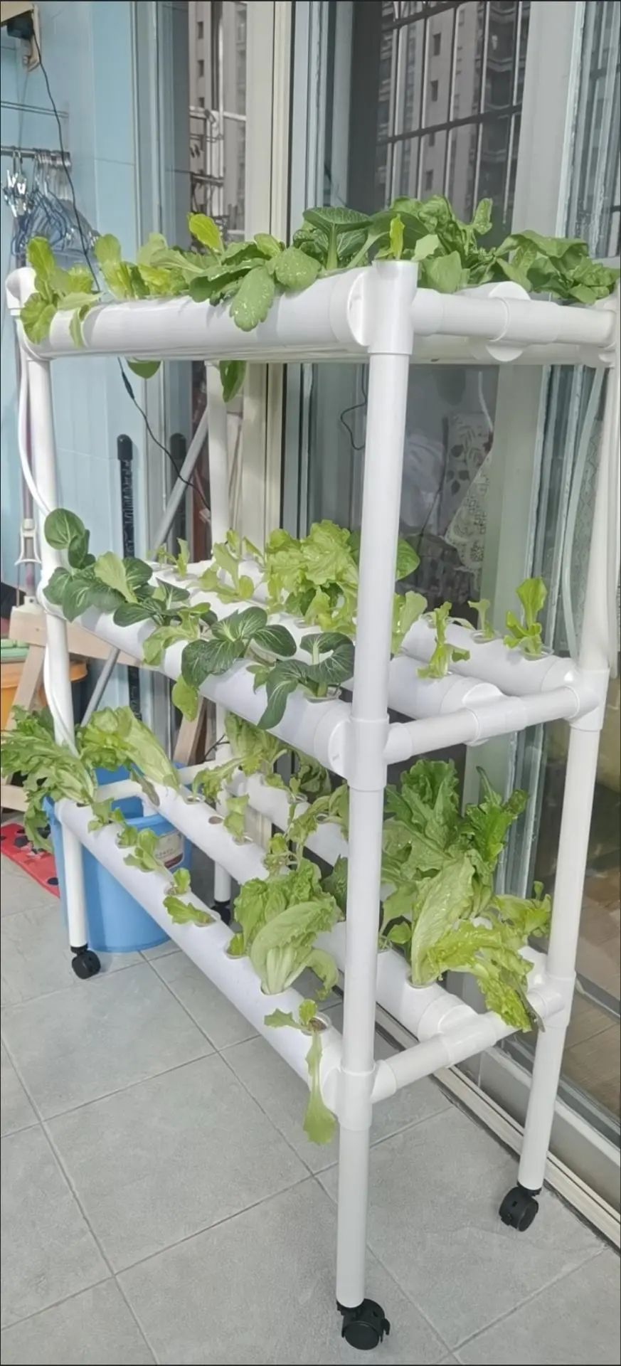 China Grow Tent Indoor Plants  - Grow Tent 4X4 บทวิจารณ์และราคา