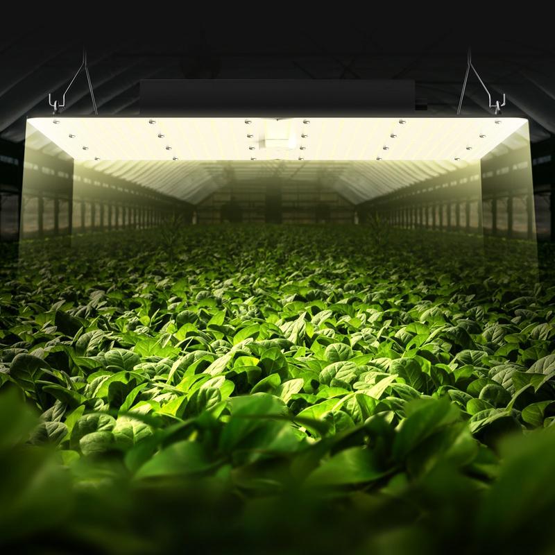 LED Grow Light, 400W Full Spec - Grow Tent 4X4 บทวิจารณ์และราคา