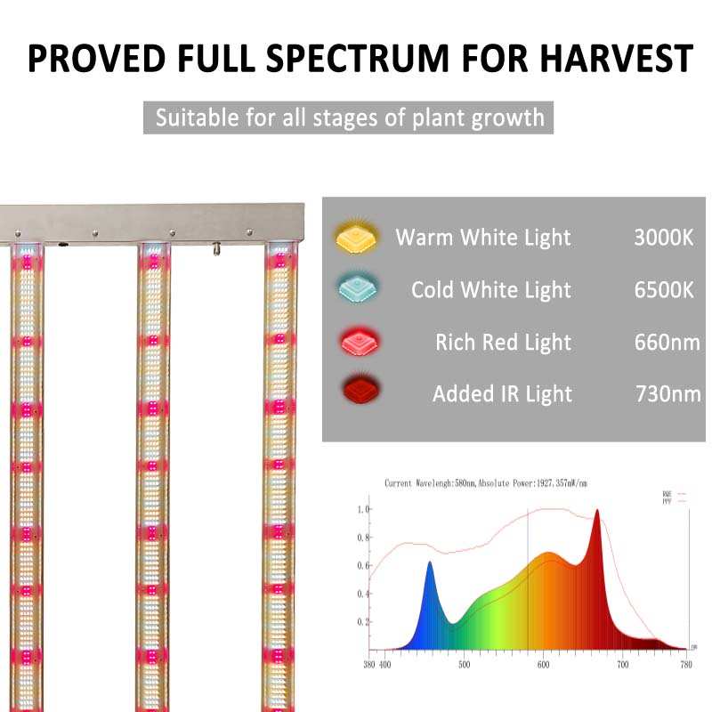 STOCK in GERMANY, Ready to Shi - Grow Tent 4X4 บทวิจารณ์และราคา