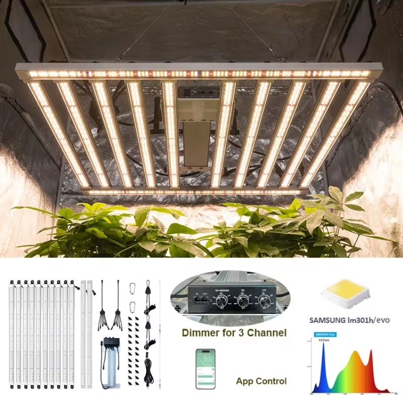 4x4 Growing Tent Complete Kit  - Grow Tent 4X4 บทวิจารณ์และราคา