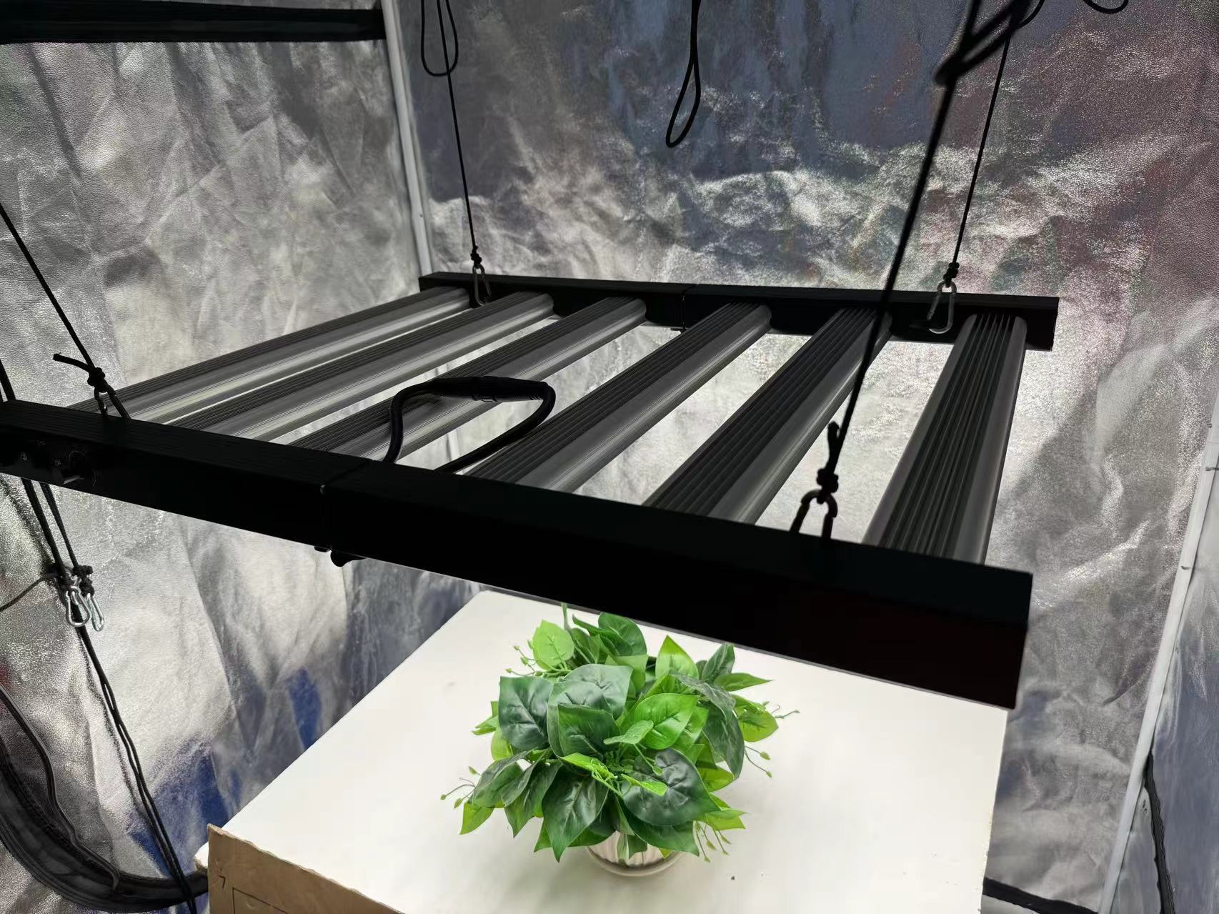4x4 Grow Tent Complete Kit, In - Grow Tent 4X4 บทวิจารณ์และราคา