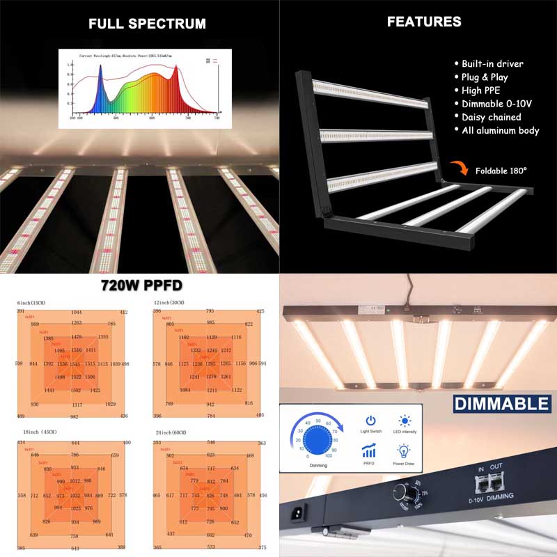 240W 320W 400W 720W Led Grow L - Grow Tent 4X4 บทวิจารณ์และราคา